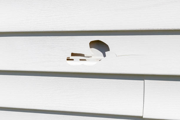 Custom Trim and Detailing for Siding in Stanton, NE